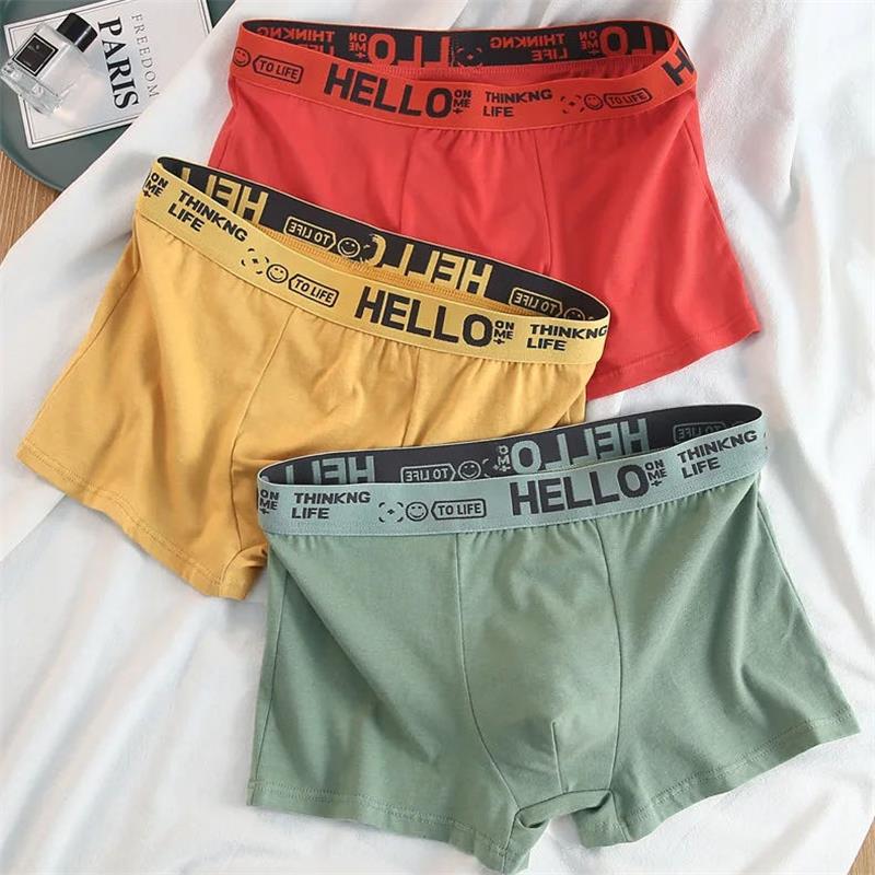10Pieces/ Men's Underwear Men  - Boxer Brief Pack Cotton recensione e prezzo