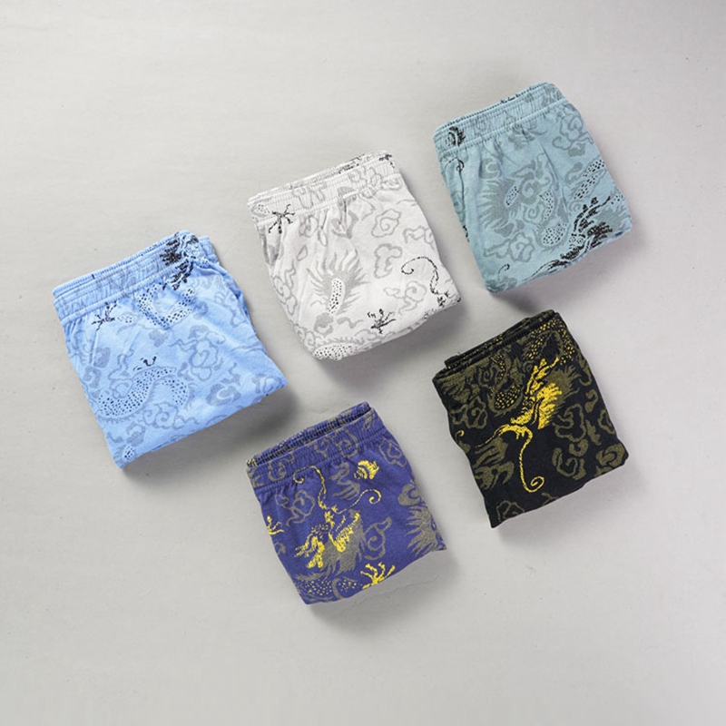 10 Pcs/Lot 100% Cotton Men's P - Multi Pack Underwear recensione e prezzo