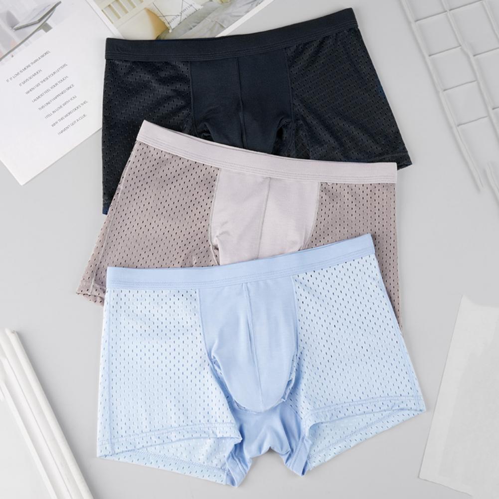 2025 M-3XL Men Boxers Elephant - Mesh Sport Boxer recensione e prezzo