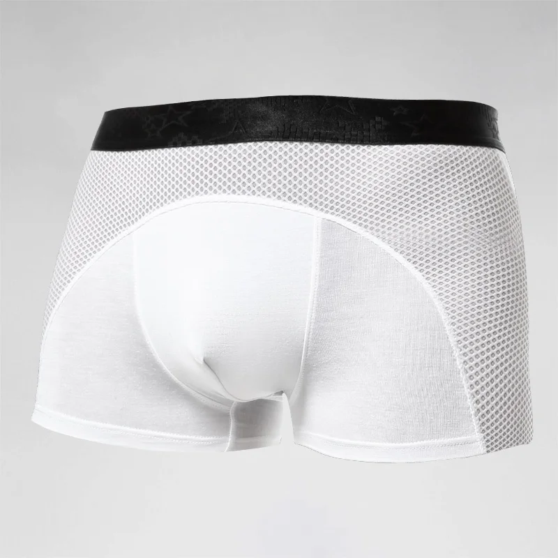 Men's underwear, men's ice sil - Mesh Sport Boxer recensione e prezzo